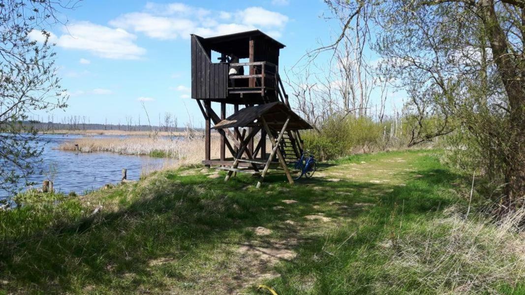 Dargun Ferienhaus Paul Am Klostersee, Urlaub Mit Hund المظهر الخارجي الصورة