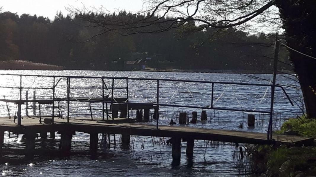 Dargun Ferienhaus Paul Am Klostersee, Urlaub Mit Hund المظهر الخارجي الصورة