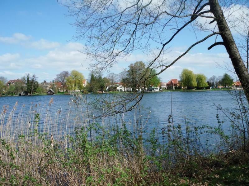 Dargun Ferienhaus Paul Am Klostersee, Urlaub Mit Hund المظهر الخارجي الصورة