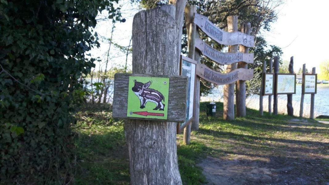 Dargun Ferienhaus Paul Am Klostersee, Urlaub Mit Hund المظهر الخارجي الصورة